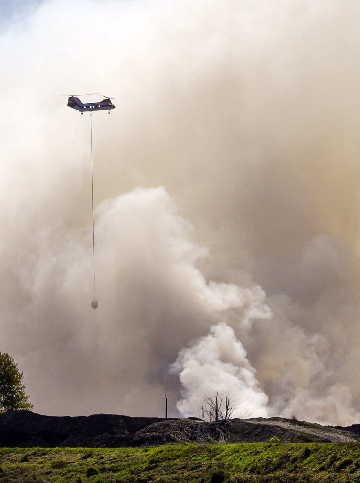 Into the smoke